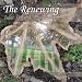 the-renewing