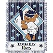 Tampa Bay Devil Rays MLB Triple Woven Jacquard Throw (044 Series) (36"x46")