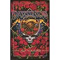 Grateful Dead 40 Years Unframed - 24 x 36"
