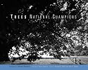 Trees: National Champions