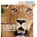 Face to Face with Lions (Face to Face with Animals)