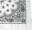 White Trainmen Paisley Bandana (22" x 22")