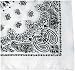 White Trainmen Paisley Bandana (22" x 22")