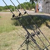 Karpfen Komplettset 3 Ruten + 3 Rollen + Rodpod + 3 Bissanzeiger