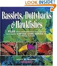 Basslets, Dottybacks and...