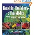 Basslets, Dottybacks and Hawkfishes: Plus Seven More Aqarium Fish Families with Expert Captive Care Advice for the... by  Scott W. Michael, Fred Bavendam, Paul Humann, and Rudie Kuiter