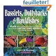 30 gallon aquarium Basslets, Dottybacks 30 gallon aquarium Basslets, Dottybacks