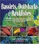 Basslets, Dottybacks & Hawkfishes: Plus Seven more Aqarium Fish Families with Expert Captive Care Advice for the Marine Aquarist