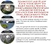 Massive Cash Flow Pack with How To Earn Extra Money, Godfather Principles and Accounting & Finance for Swimming Pool Equipment Web Biz 3 CD Course
