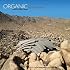 Organic Architecture