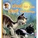 Chat des villes Chat des champs