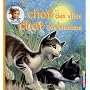 Chat des villes Chat des champs