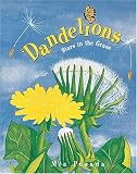 Dandelions: Stars in the Grass