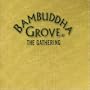 Bambuddha Grove: the Gathering