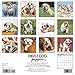 2016 Just Bulldog Puppies Wall Calendar