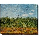 6151VT1VcTL. SL160  Art Reproduction Oil Painting   Van Gogh Paintings: Edge of a Wheat Field with Poppies and a Lark Gallery Wrap   Classic 20 X 24   Hand Painted Canvas Art