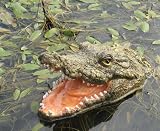 Produkt-Bild: Schwimmender Tierkopf Krokodil, mit offenem Maul, Ma&szlig;e: 27x15x15cm