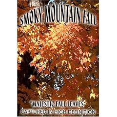 SMOKY MOUNTAIN FALL- "MAJESTIC FALL LEAVES"