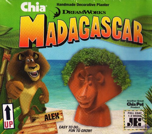 Chia Pet Madagasca Alex Planter