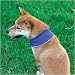 Cool It Bandanna Small - Blue