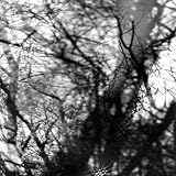 Review Grouper  / Way Their Crept