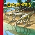 Coelophysis And Other Dinosaurs of the South (Dinosaur Find) (Dinosaur Find)