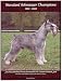 Standard Schnauzer Champions, 1983-2004