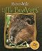 Little Beavers (Born to Be Wild)