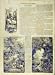 1858 GNOMES KING SKETCHES STORY KINGDOM FRENCH PRINT