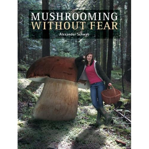 Mushroom Diary - mushrooming in south-west Brittany, France
