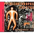 Pithecanthropus Erectus