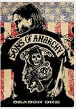 Sons of Anarchy: Season One (2008) Charlie Hunnam (Actor), Ron Perlman (Actor), Allen Coulter (Director), Bill Gierhart (Director) | Rated: Unrated | Format: DVD
