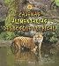 Cadenas Alimentarias Del Bosque Tropical (Cadenas Alimentarias Food Chains) (Spanish Edition)