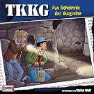 154/Das Geheimnis Der Burgruine
