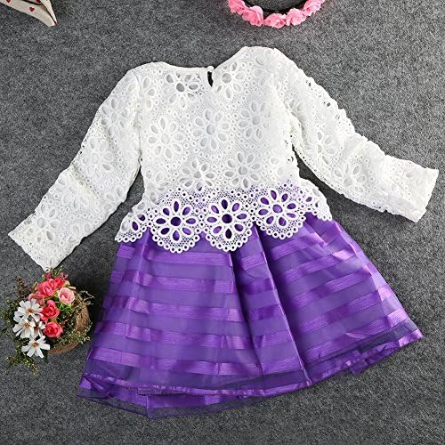 Christmas Gift for Little Girl's Long Sleeve Princess Dress Party Dress Skirt (4year to 5year, Purple)