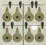 Charley Harper Lithograph- Condominimum