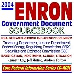 2004 Enron Government Document Sourcebook with FOIA-released Records and Agency Documents on the Enron Investigation, Litigation, and Indictments of Kenneth Lay, Jeff Skilling, and Andrew Fastow ? Justice Department, Securities and Exchange Commission (SE book cover
