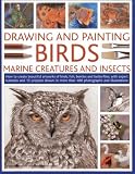 Drawing and painting birds, marine creatures and insects : how to create beautiful artworks of birds, fish, beetles and butterflies, with expert tutorials and 15 projects shown in more than 480 photog