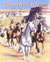 Hidden Buffalo (Northern Lights Books for Children)