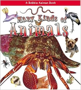 Many Kinds of Animals (What Kind of Animal Is It? (Paperback)): Molly