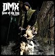 Year of the Dog...Again