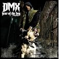 Year of the Dog...Again
