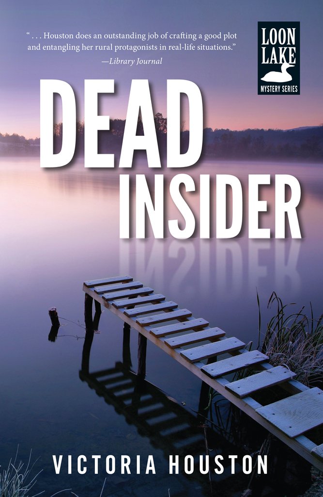 Dead Insider (Loon Lake Mystery Book 13) - Kindle edition by ...