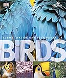 Illustrated encyclopedia of birds
