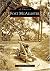 Fort McAllister (Images of America: Georgia)
