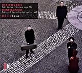 Tchaikovsky: Piano Trio Op. 50 ; Shostakovich: Piano Trio No. 2