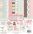 Echo Park Paper Bundle of Joy Girl Collection Scrapbooking Kit