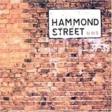 Hammond Street Vol.1