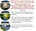 The Special How To Earn Extra Money, Marketing and Success Principles for Laminators Web Biz 3 CD Course Image