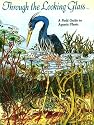 Through the Looking Glass: A Field Guide to Aquatic Plants